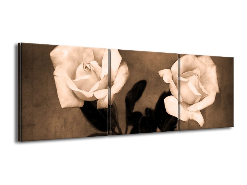 Canvas schilderij Roos | Sepia, Bruin | 150x50cm 3Luik