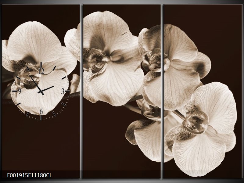 Klok schilderij Orchidee | Sepia, Bruin | 111x80cm 3Luik
