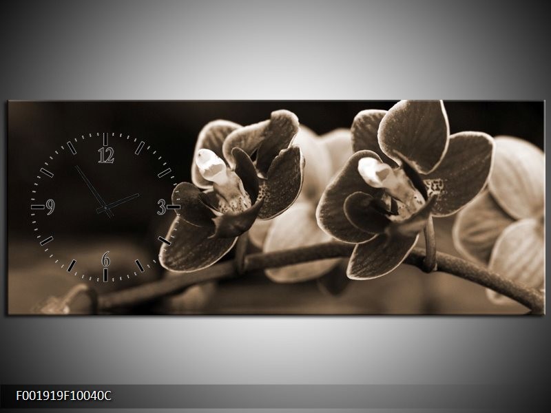 Klok schilderij Orchidee | Sepia, Bruin | 100x40cm 1Luik