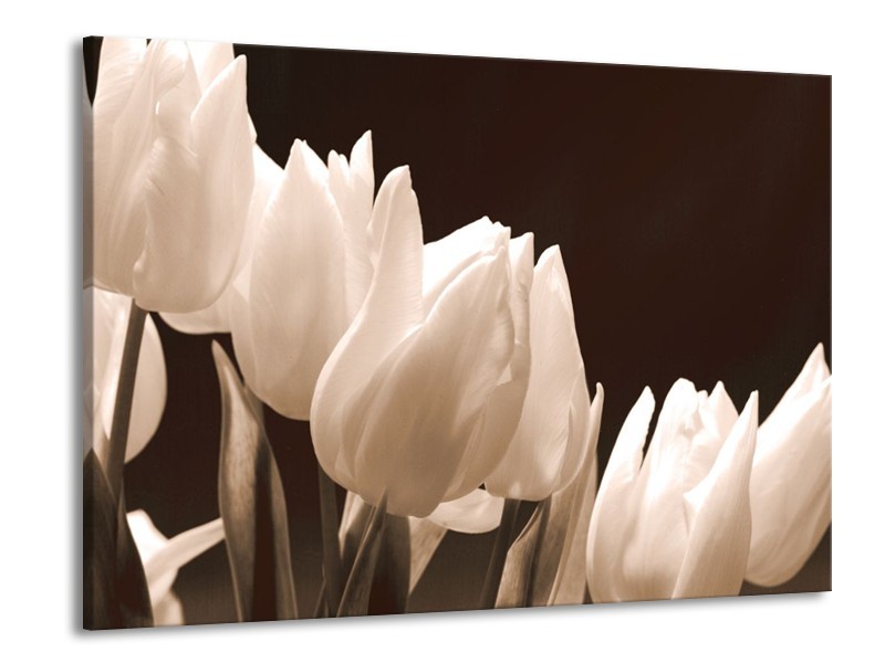 Canvas schilderij Tulp | Sepia | 100x70cm 1Luik