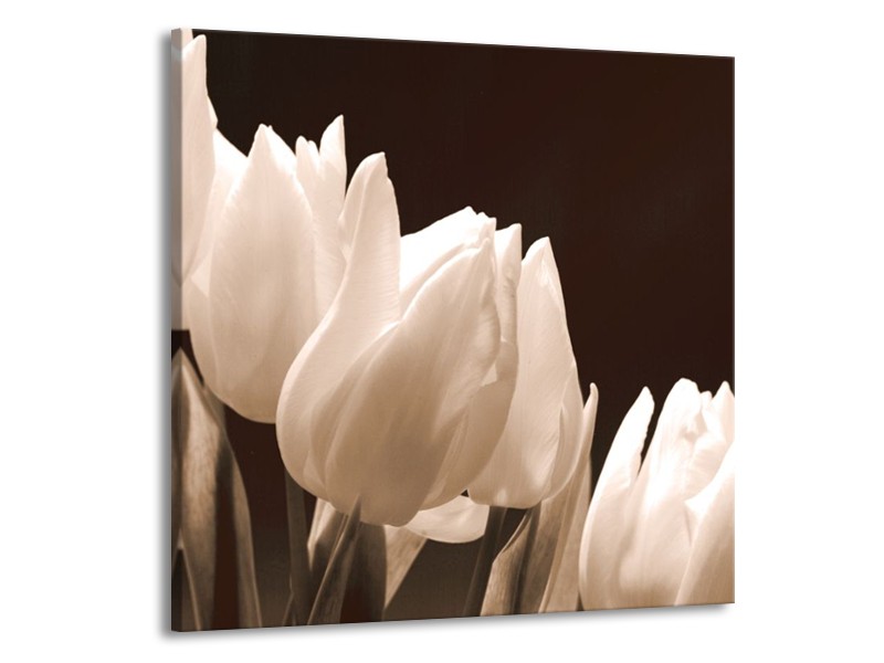 Canvas schilderij Tulp | Sepia | 50x50cm 1Luik