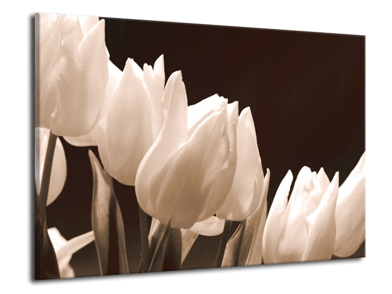 Canvas schilderij Tulp | Sepia | 70x50cm 1Luik