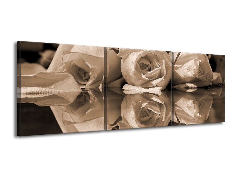Canvas schilderij Roos | Sepia, Bruin | 150x50cm 3Luik