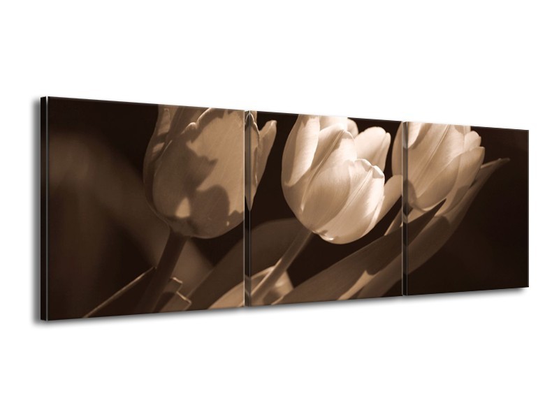 Canvas schilderij Tulpen | Sepia, Bruin | 150x50cm 3Luik