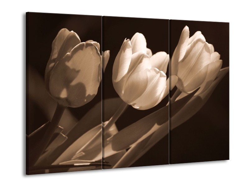 Canvas schilderij Tulpen | Sepia, Bruin | 90x60cm 3Luik