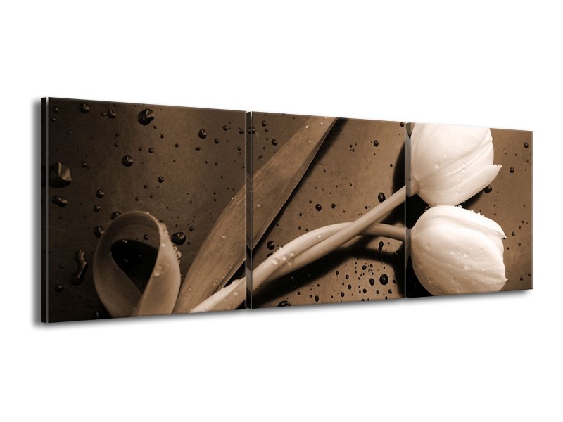 Canvas schilderij Tulpen | Sepia, Bruin | 150x50cm 3Luik