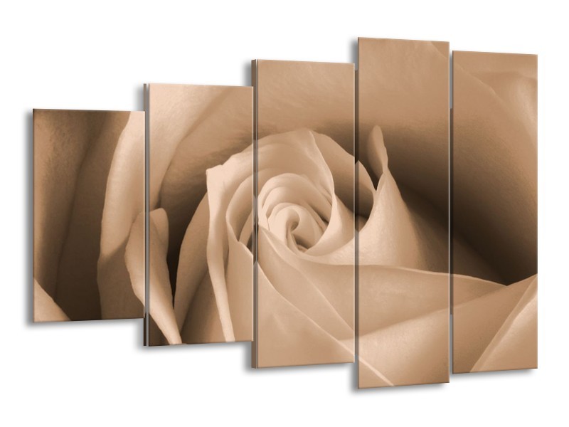 Canvas schilderij Roos | Sepia, Bruin | 150x100cm 5Luik