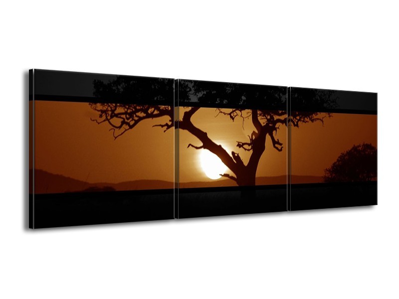 Canvas schilderij Boom | Sepia, Bruin | 150x50cm 3Luik
