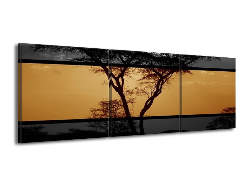 Canvas schilderij Boom | Sepia, Bruin | 150x50cm 3Luik
