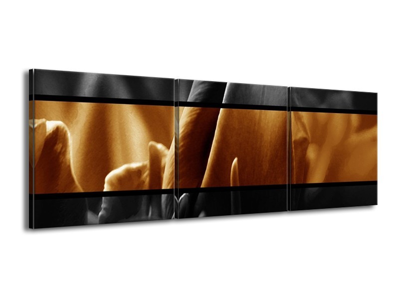 Canvas schilderij Tulpen | Sepia, Bruin | 150x50cm 3Luik