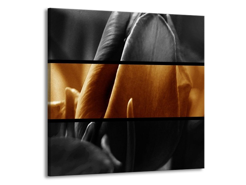 Canvas schilderij Tulpen | Sepia, Bruin | 70x70cm 1Luik
