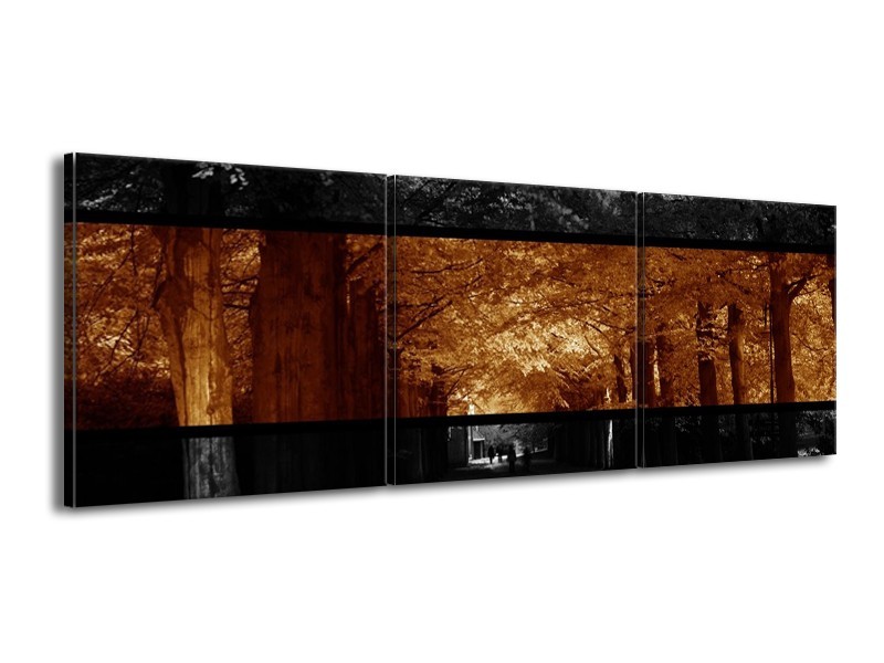Canvas schilderij Natuur | Sepia, Bruin | 150x50cm 3Luik