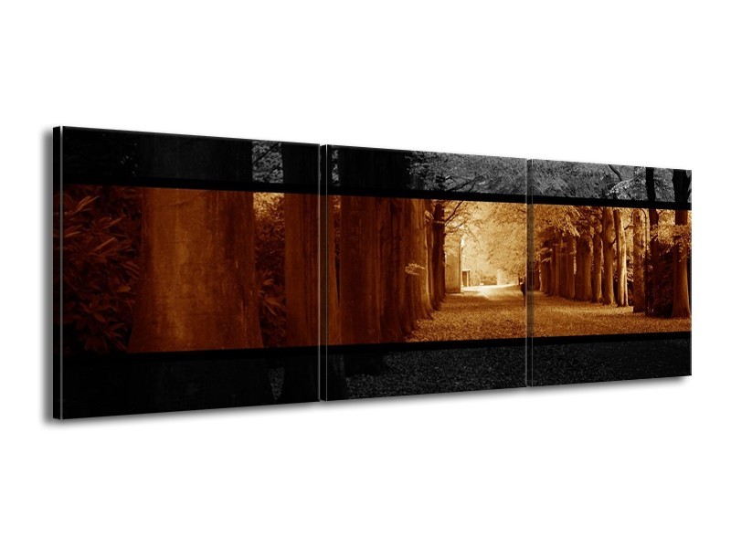 Canvas schilderij Natuur | Sepia, Bruin | 150x50cm 3Luik