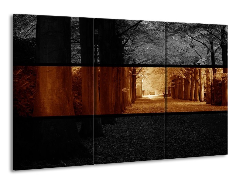 Canvas schilderij Natuur | Sepia, Bruin | 165x100cm 3Luik