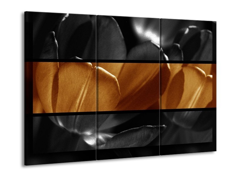 Canvas schilderij Tulpen | Sepia, Bruin | 90x60cm 3Luik