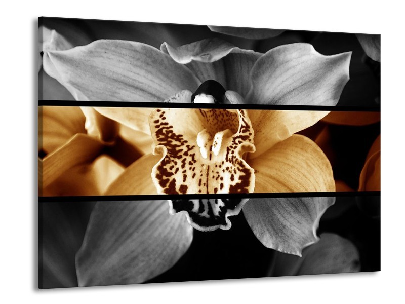 Glas schilderij Orchidee | Sepia, Bruin | 100x70cm 1Luik