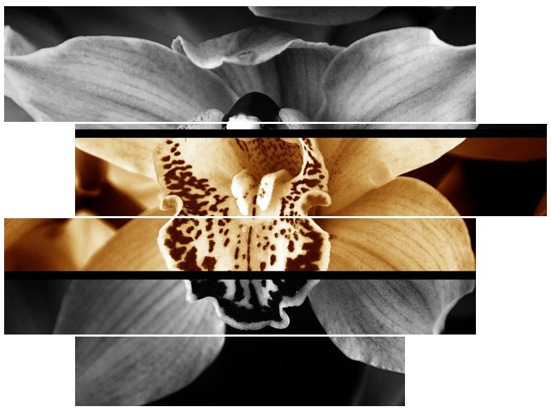 Canvas schilderij Orchidee | Sepia, Bruin | 115x85cm 4Luik