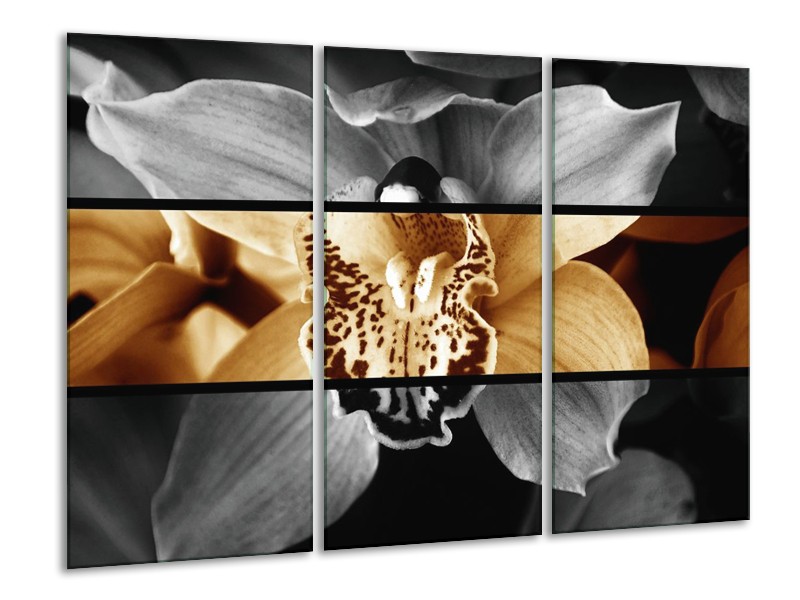 Canvas schilderij Orchidee | Sepia, Bruin | 120x80cm 3Luik