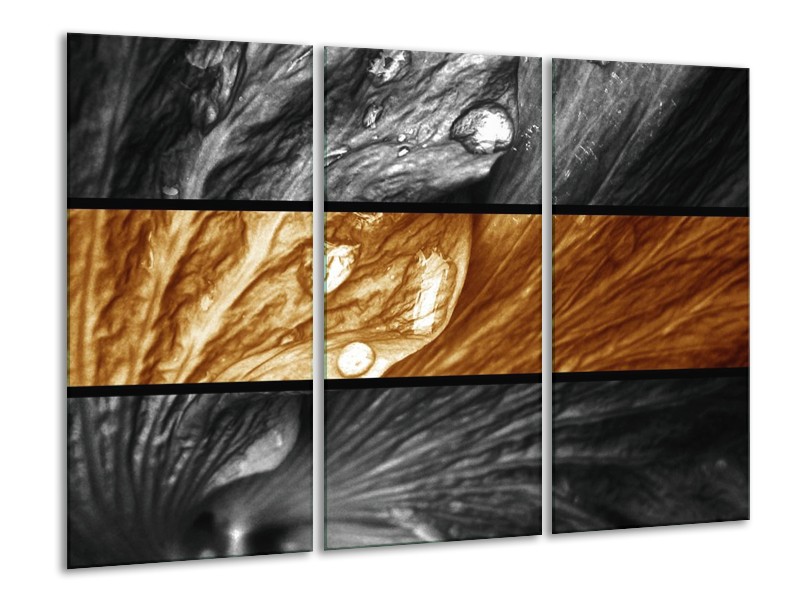 Canvas schilderij Tulpen | Sepia, Bruin | 120x80cm 3Luik