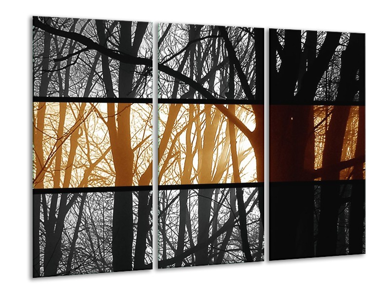 Canvas schilderij Natuur | Sepia, Bruin | 120x80cm 3Luik