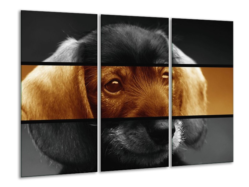 Canvas schilderij Hond | Sepia, Bruin | 120x80cm 3Luik