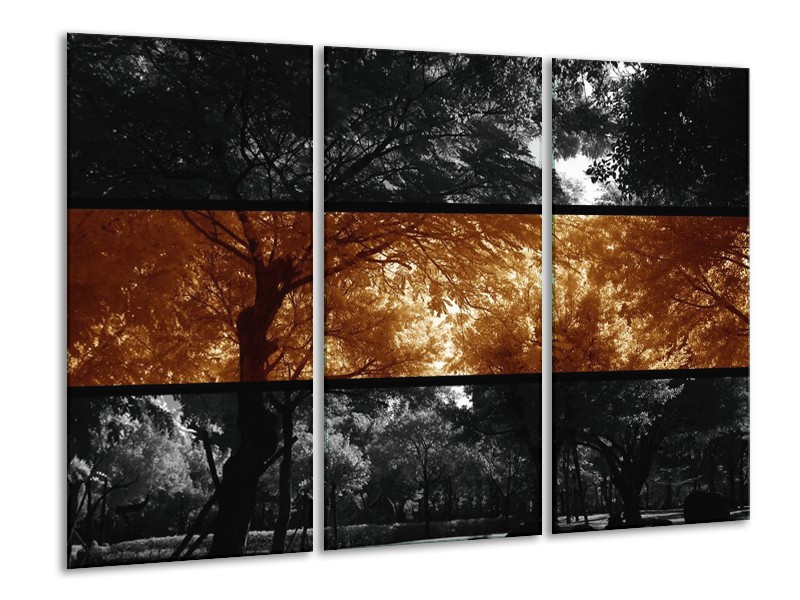 Canvas schilderij Natuur | Sepia, Bruin | 120x80cm 3Luik
