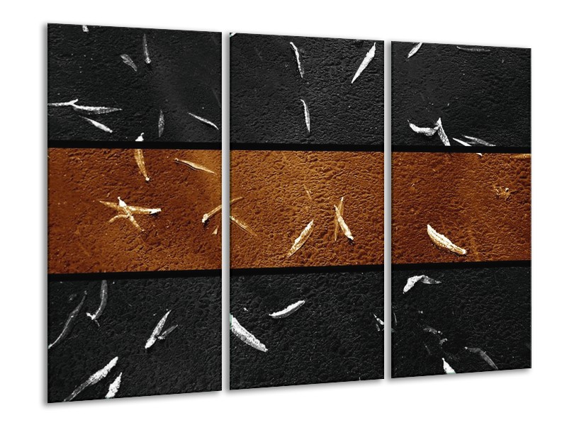 Canvas schilderij Vis | Sepia, Bruin | 120x80cm 3Luik