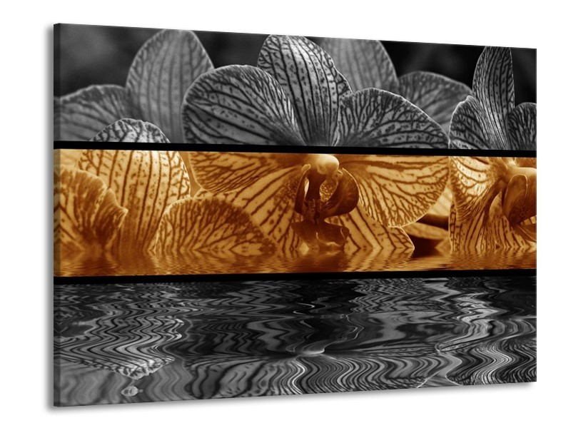 Canvas schilderij Orchidee | Sepia, Bruin | 100x70cm 1Luik