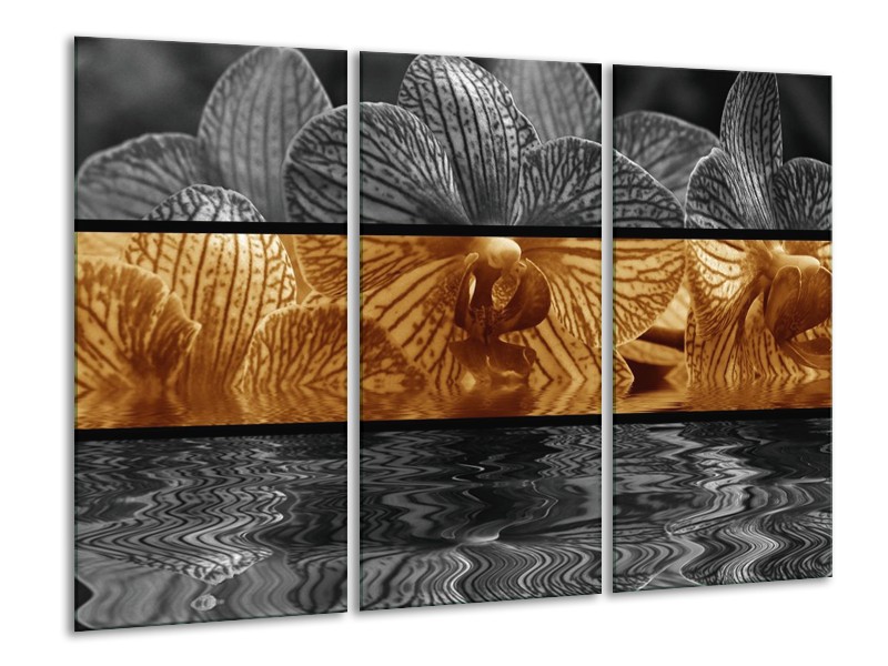 Canvas schilderij Orchidee | Sepia, Bruin | 120x80cm 3Luik