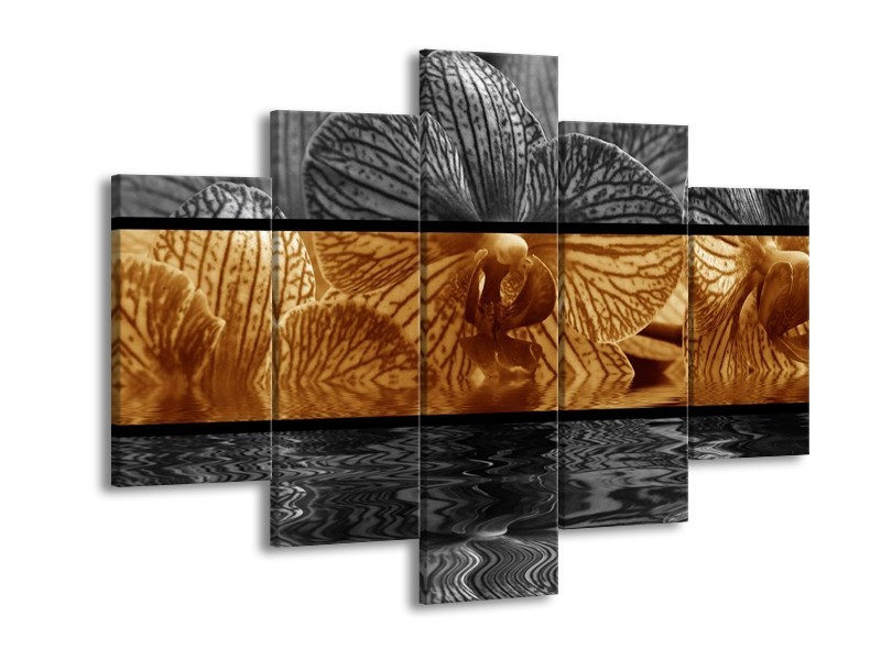 Glas schilderij Orchidee | Sepia, Bruin | 150x105cm 5Luik