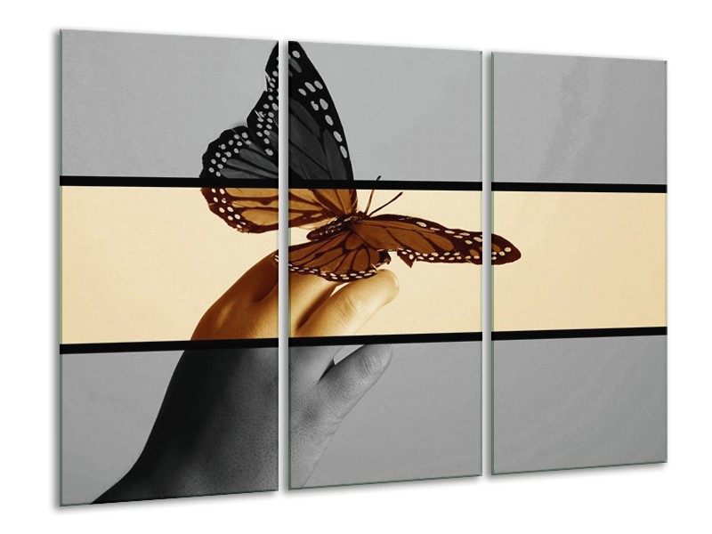 Canvas schilderij Vlinder | Sepia, Bruin | 120x80cm 3Luik