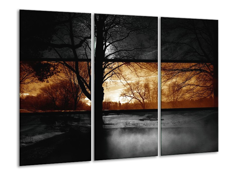 Canvas schilderij Natuur | Sepia, Bruin | 120x80cm 3Luik