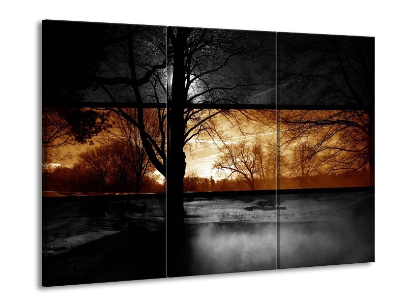 Glas schilderij Natuur | Sepia, Bruin | 90x60cm 3Luik