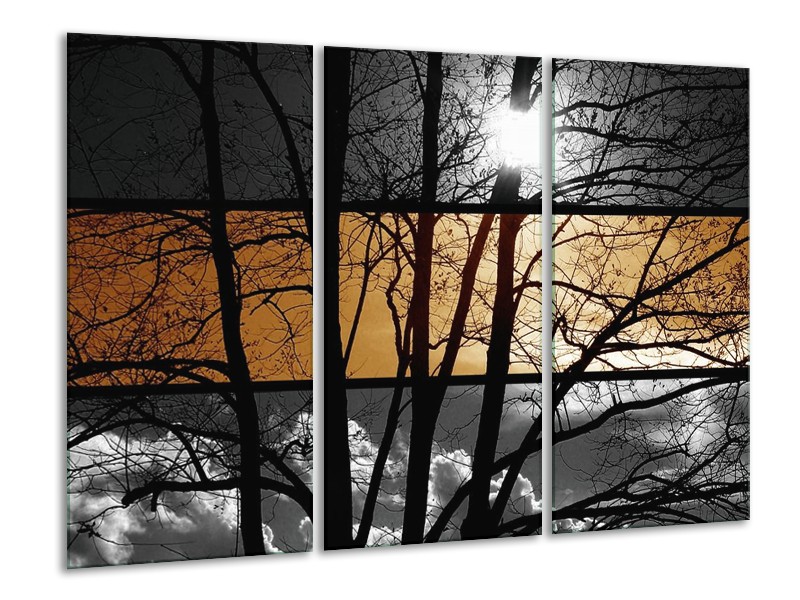 Canvas schilderij Natuur | Sepia, Bruin | 120x80cm 3Luik