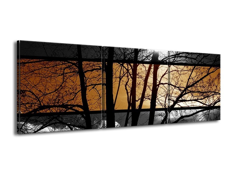 Canvas schilderij Natuur | Sepia, Bruin | 150x50cm 3Luik