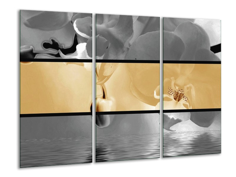 Canvas schilderij Orchidee | Sepia, Grijs | 120x80cm 3Luik
