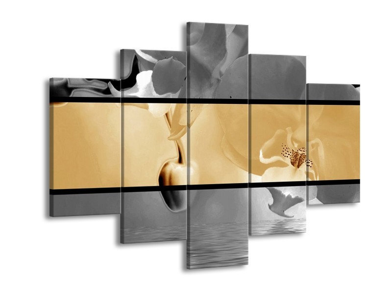 Glas schilderij Orchidee | Sepia, Grijs | 150x105cm 5Luik