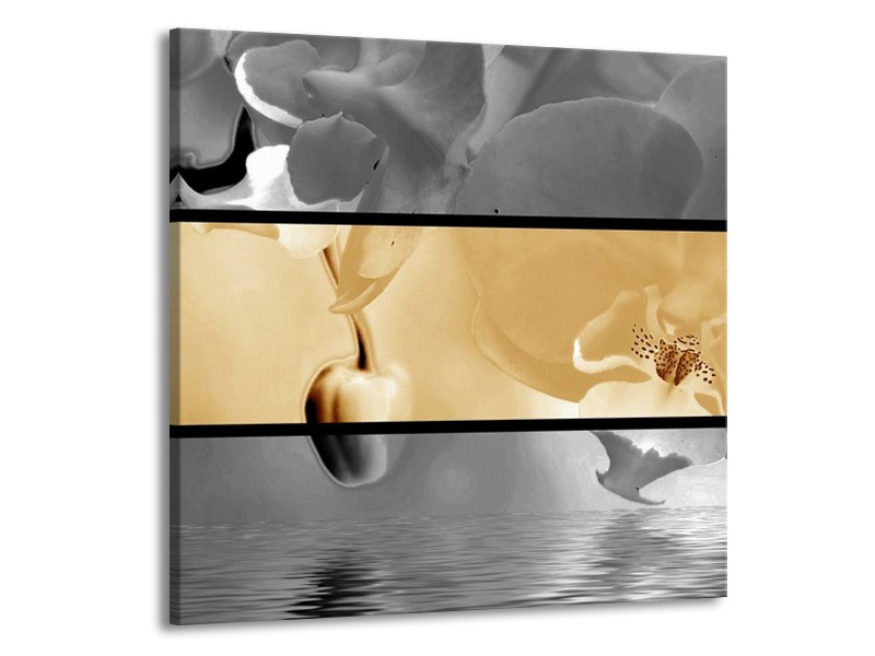 Glas schilderij Orchidee | Sepia, Grijs | 50x50cm 1Luik
