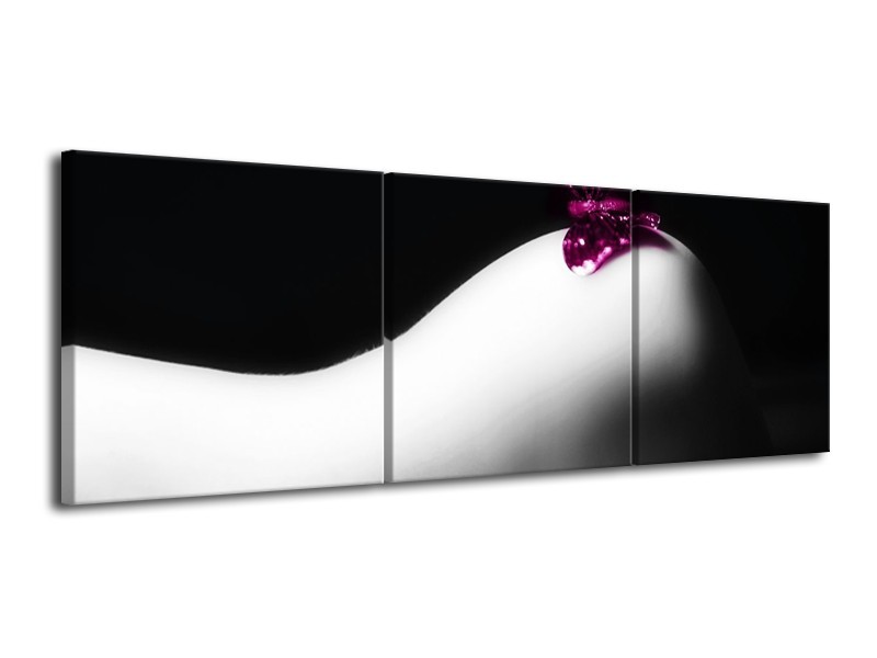 Canvas schilderij Vlinder | Wit, Zwart, Paars | 120x40cm 3Luik