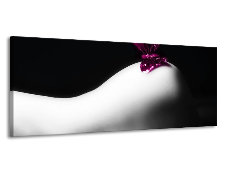 Canvas schilderij Vlinder | Wit, Zwart, Paars | 145x58cm 1Luik