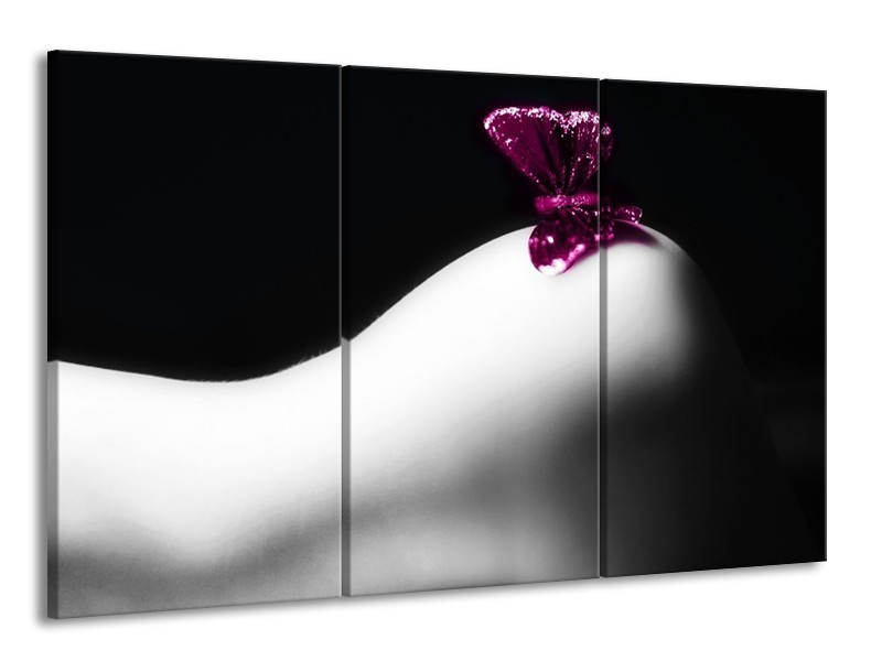 Canvas schilderij Vlinder | Wit, Zwart, Paars | 165x100cm 3Luik