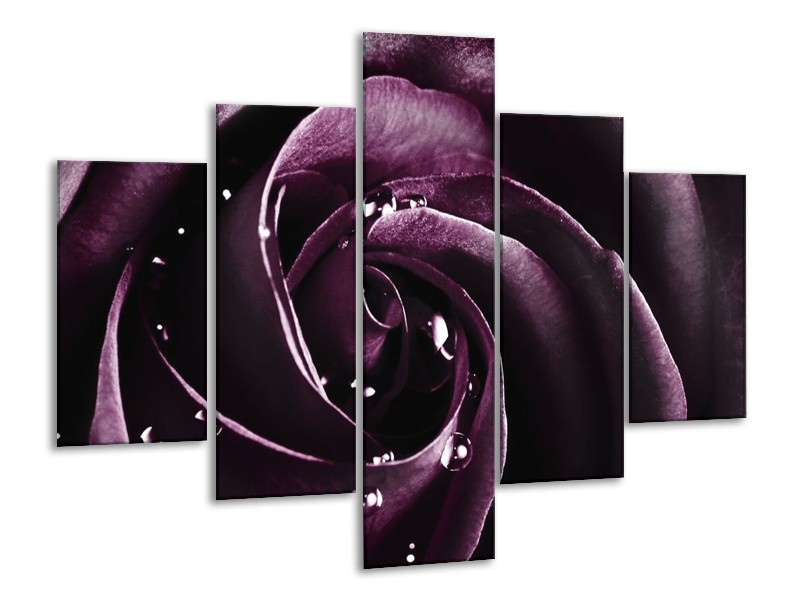 Canvas schilderij Roos | Paars, Zwart | 100x70cm 5Luik
