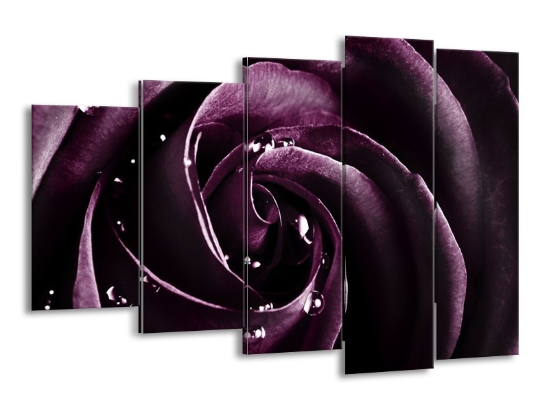 Canvas schilderij Roos | Paars, Zwart | 150x100cm 5Luik