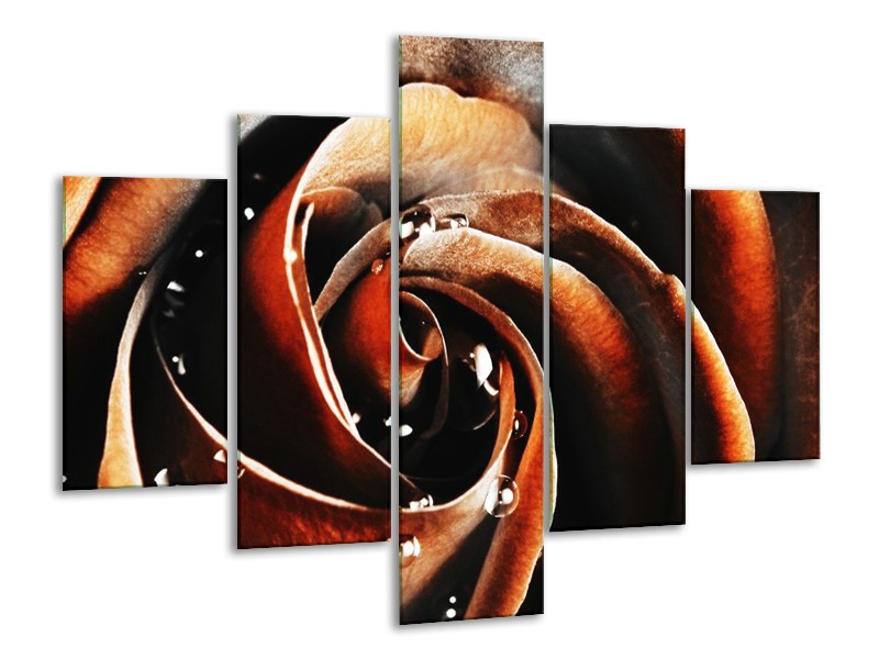 Canvas schilderij Roos | Bruin, Zwart, Wit | 100x70cm 5Luik