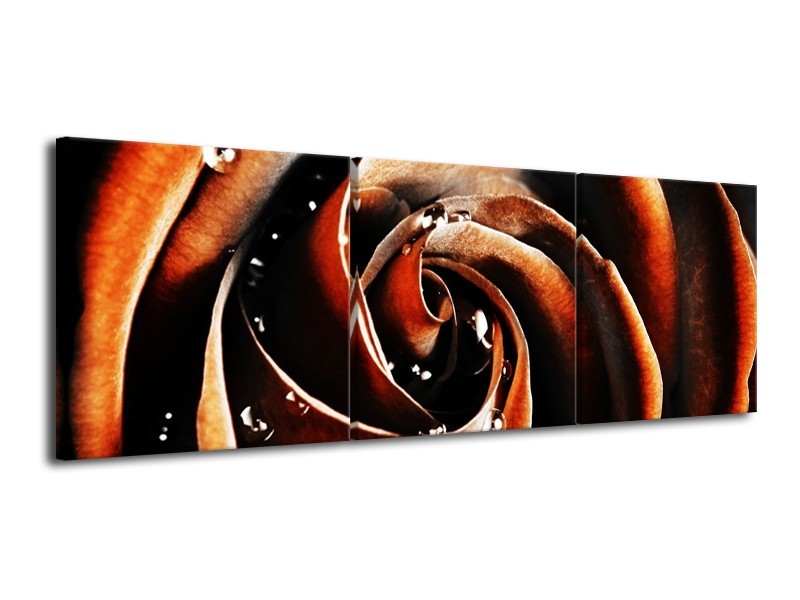 Glas schilderij Roos | Bruin, Zwart, Wit | 120x40cm 3Luik