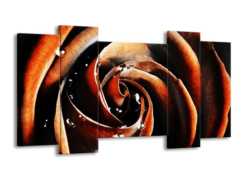 Canvas schilderij Roos | Bruin, Zwart, Wit | 120x65 5Luik
