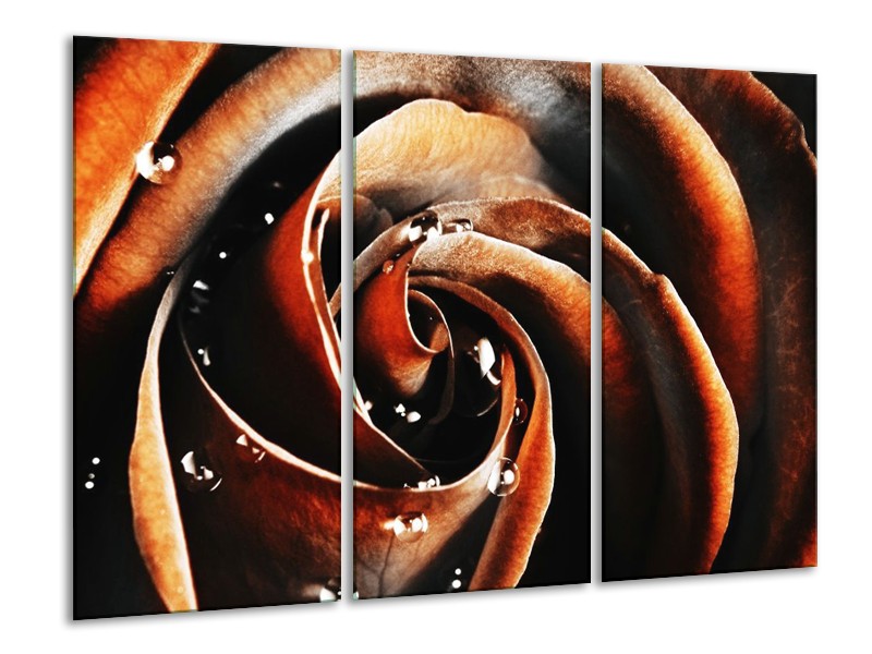 Canvas schilderij Roos | Bruin, Zwart, Wit | 120x80cm 3Luik