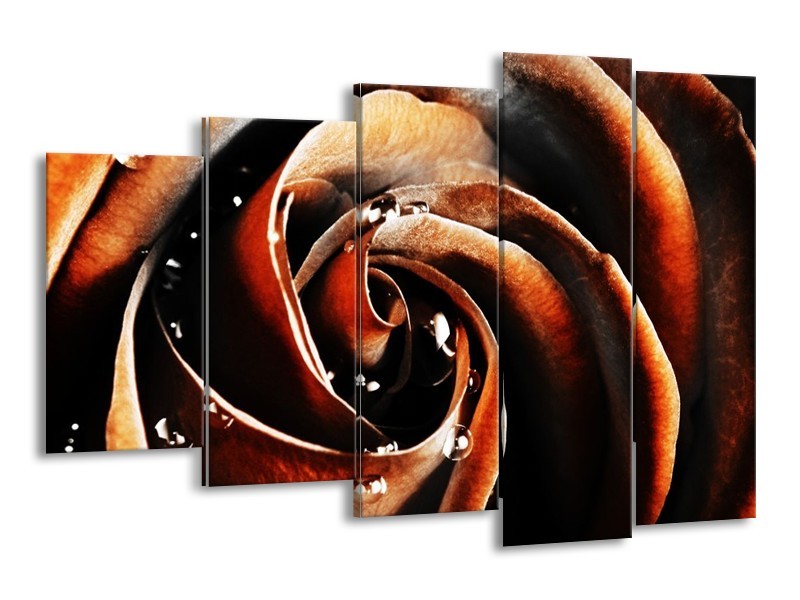 Canvas schilderij Roos | Bruin, Zwart, Wit | 150x100cm 5Luik