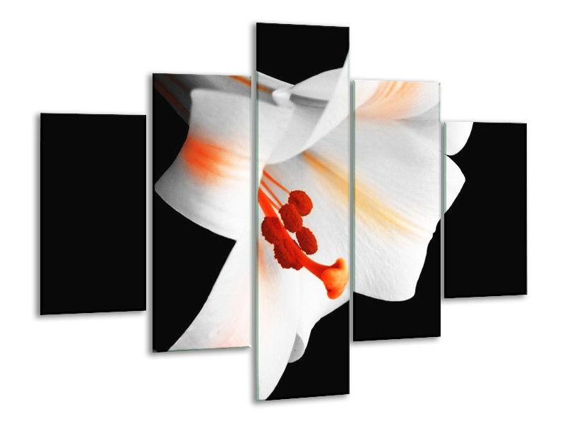 Canvas schilderij Bloem | Zwart, Wit, Oranje | 100x70cm 5Luik
