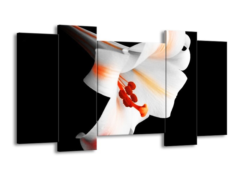 Canvas schilderij Bloem | Zwart, Wit, Oranje | 120x65 5Luik